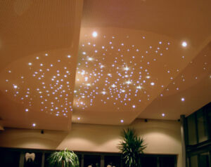 SANLI LED Dual 5W LED Optic Fiber Ceiling Twinkle Lights Application